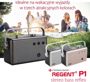 Regent P1 image01